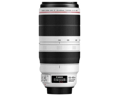 Canon EF 100-400mm F4.5-5.6L | eBay