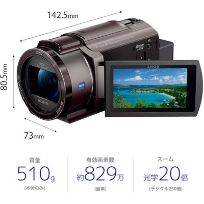 ソニー FDR-AX45A TI 4Kビデオカメラ Handycam | eBay