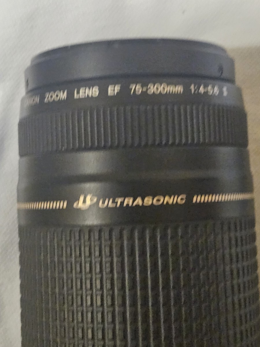 Canon Ultrasonic Zoom Lens EF 75-300mm 1:4-5.6 II ( MINT CONDITION