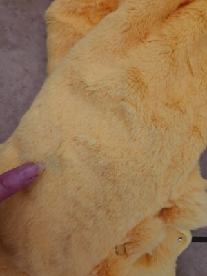 Pottery Barn Newborn 3 6 Month WOODSTOCK HALLOWEEN Costume PEANUTS