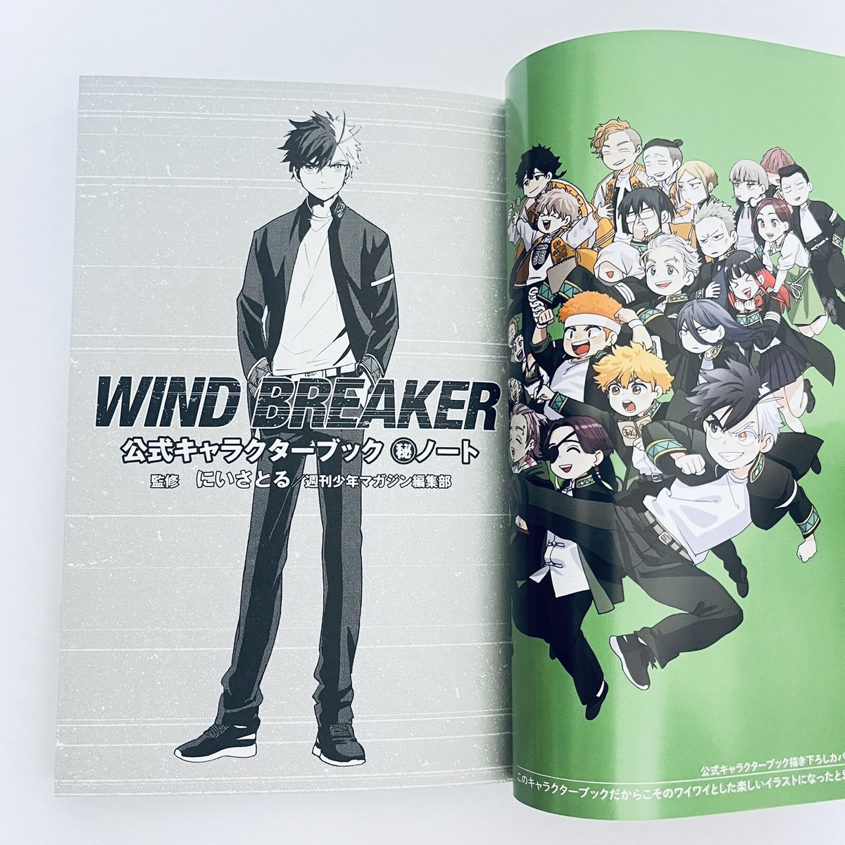 WIND BREAKER Official Character Book 