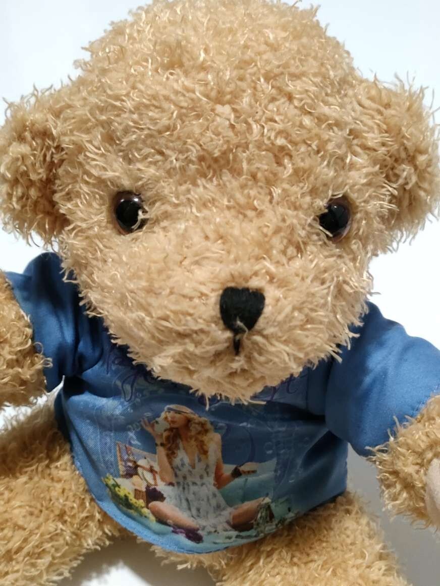 Taylor Swift Fearless Teddy Bear Very Rare | eBay