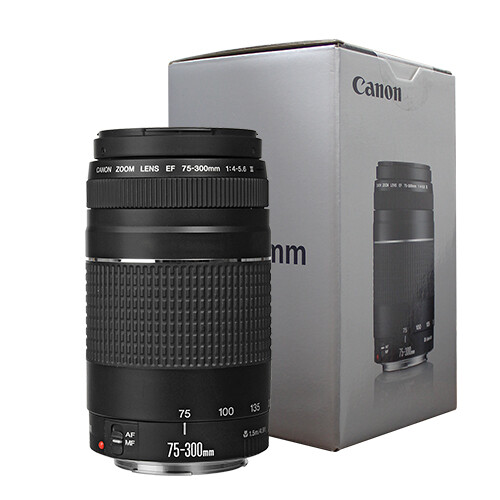Canon EF 75-300mm f/4-5.6 III Telephoto Zoom Lens for Canon SLR