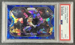 Lebron James Tribute Dunk | eBay