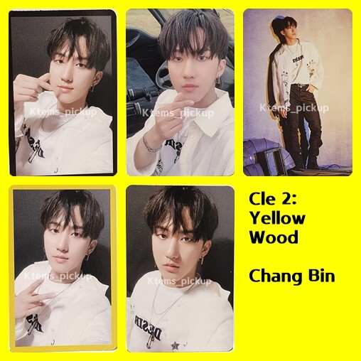 Stray Kids photocard album Yellow Wood Official Photo card