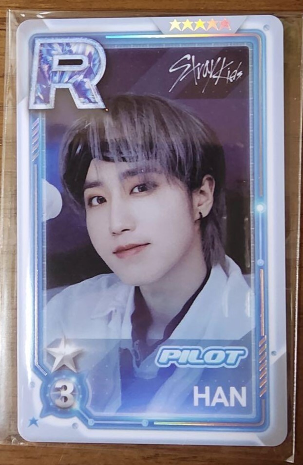 Stray Kids FAN MEETING PILOT 5-STAR JYPnation SUPER STAR Official