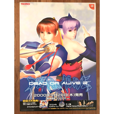 Dead or Alive 2 Game Promotional Poster Tecmo Dreamcast Kasumi