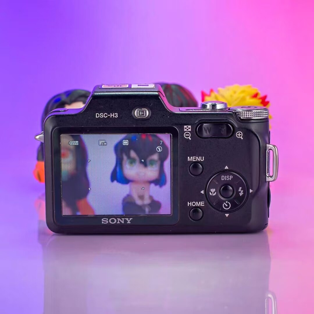 Sony Cyber-shot DSC-H3 8.1MP 10X Optical Zoom CCD Digital Camera