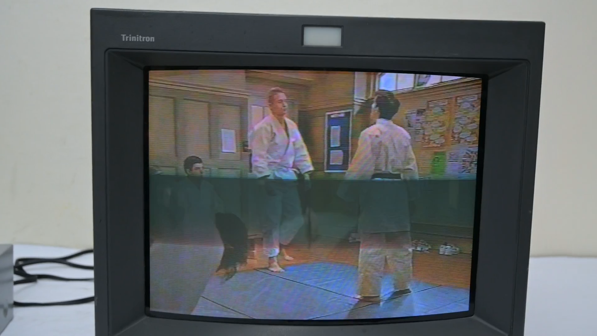 Sony Trinitron PVM 14L2 Color Video Monitor | eBay