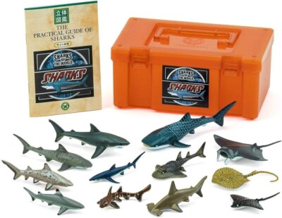 Colorata 975527 Real Figure box Set of 12 kind of Sharks w/Box