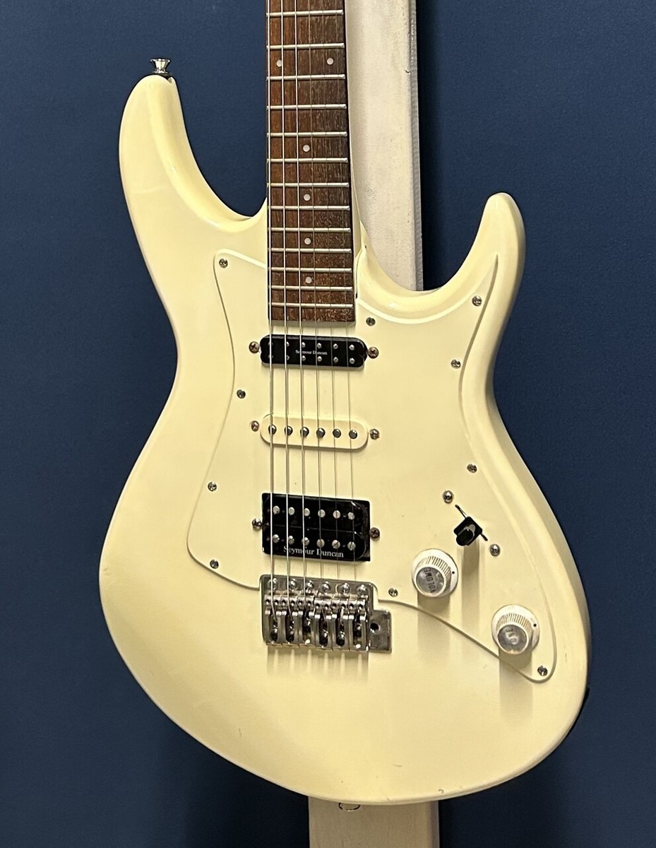 Black Dog ギター アルダーボディ ストラトキャスタータイプ Black Dog