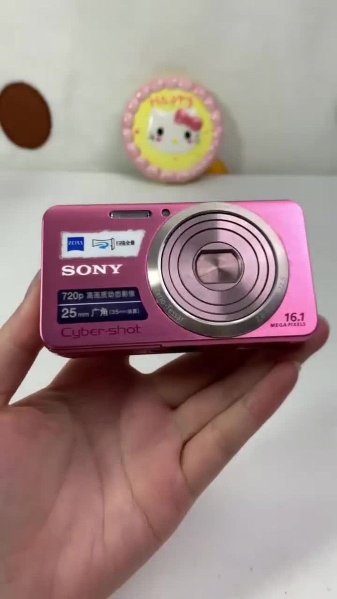 Sony Cyber-shot DSC-W630 16.1 MP Compact Digital Camera Pink 85