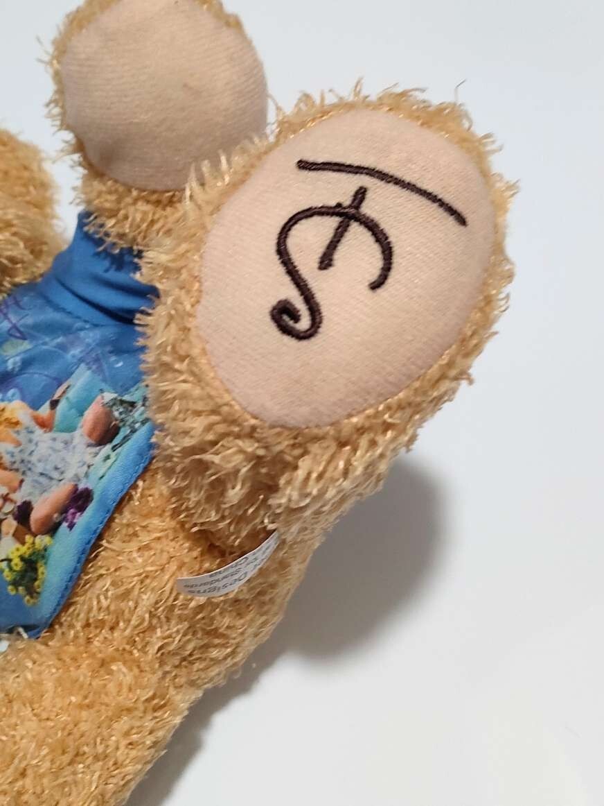 Taylor Swift Fearless Teddy Bear Very Rare | eBay