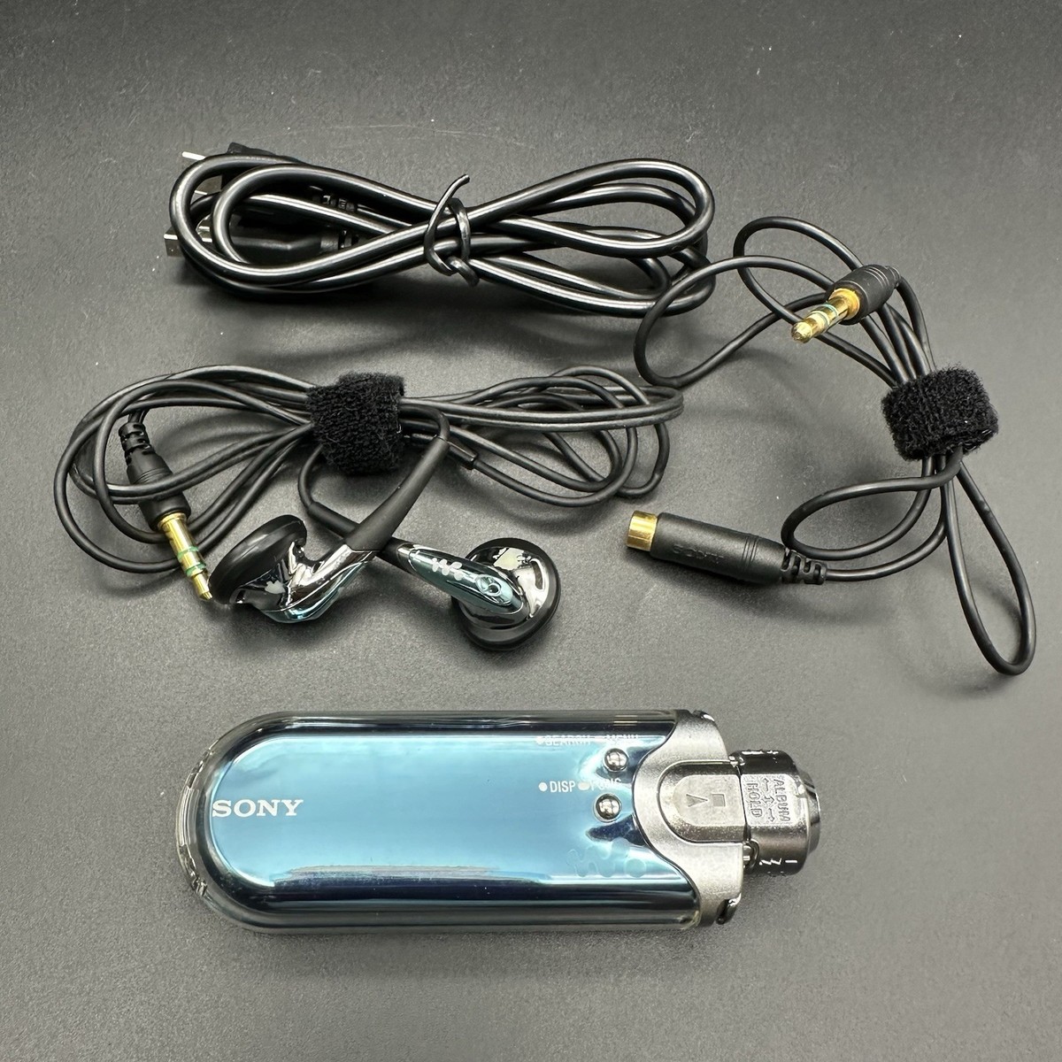 SONY NW-A608 Portable Audio Player 2GB Blue Tested Working Battery