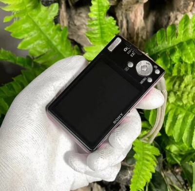 SONY Cyber-Shot DSC-W350 Digital Camera 4x Optical Zoom 14.1MP