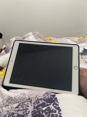 Apple iPad 5. Gen. 32GB, WLAN, 24,64 cm, (9,7 Zoll) - Gold online