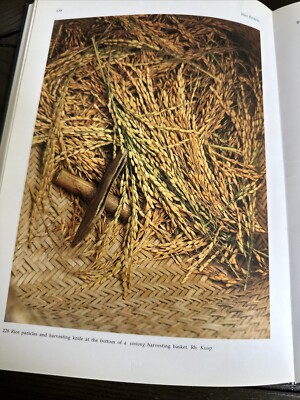 洋書 IBAN BASKETS by JEAN-FRANCOIS BLEHAUT s-l400.jpg