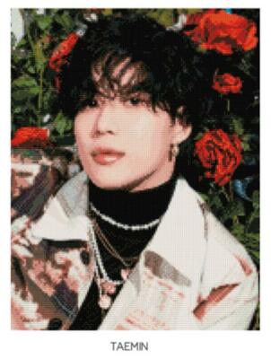 SHINee Don't Call Me SMTOWN OFFICIAL GOODS DIY CUBIC PAINTING +