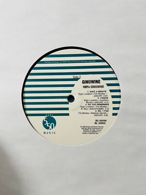 Ginuwine / 100% Ginuwine 1999 US 2LP 550 Music Record B2 69598