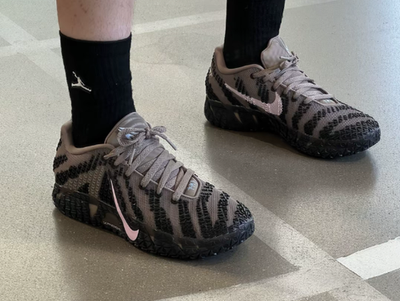 Nike Ja 3 EP 'Mink Brown' HF2794-200 | eBay