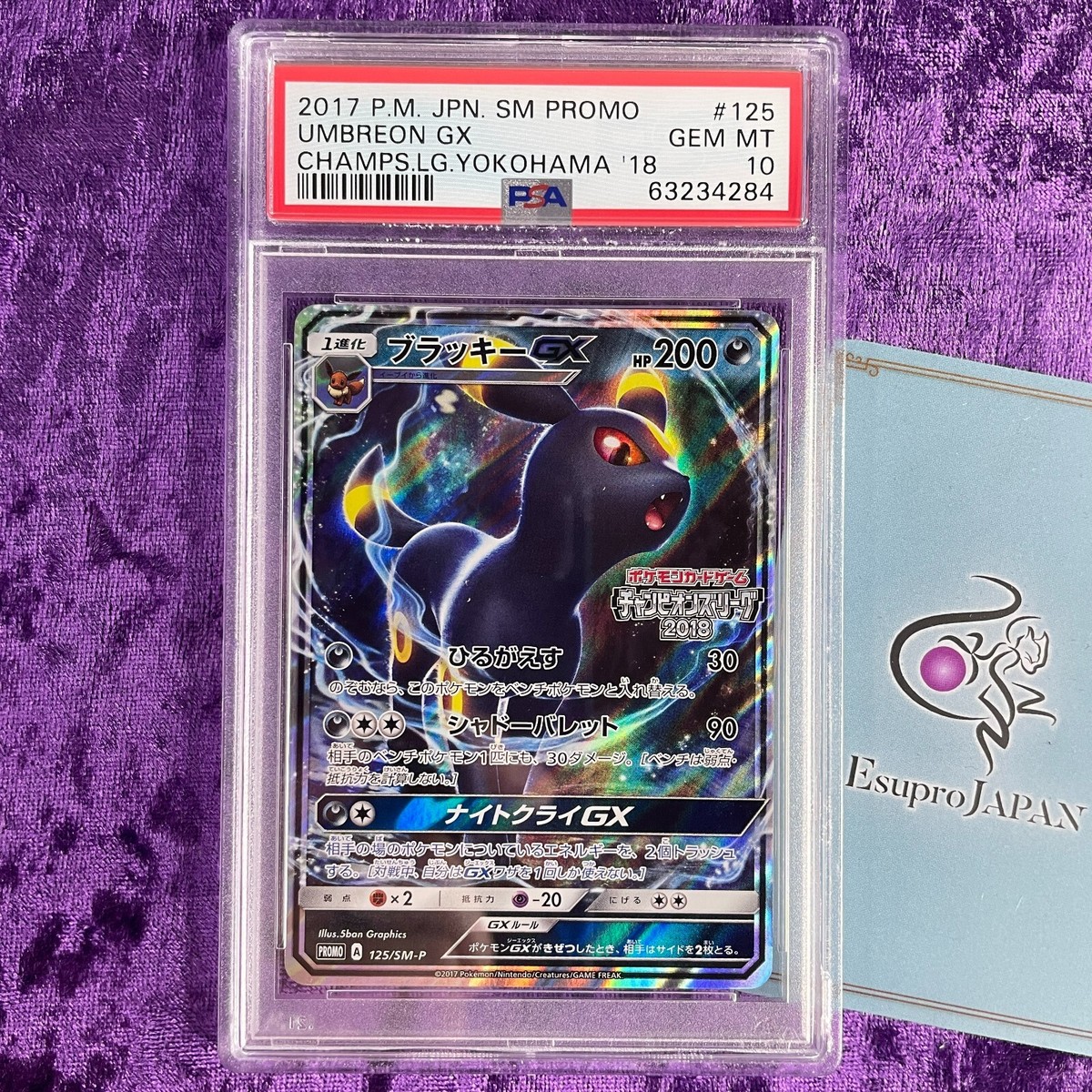 最安値 ブラッキーGX チャンピオンズリーグpsa10 PSA10】ブラッキーGX
