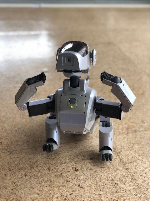 Sony Aibo ERS-111 Dog-Shaped Virtual Pet Robot JAPAN JP | eBay