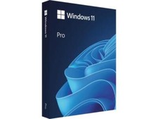 Microsoft Windows 11 Pro 64-Bit USB Flash Drive (HAV-00162) for