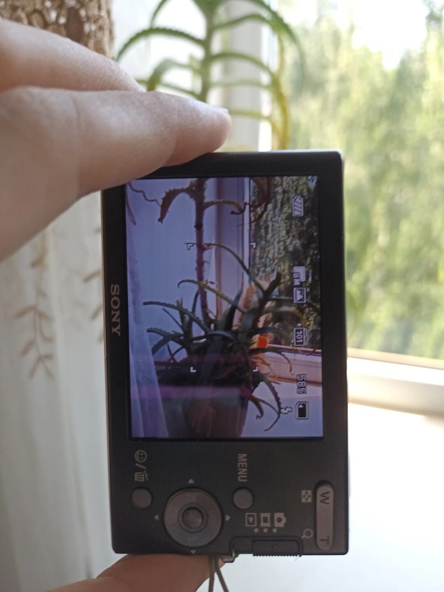 Sony Cyber-shot DSC-W190 12.1MP 3x Optical Zoom Digital Camera