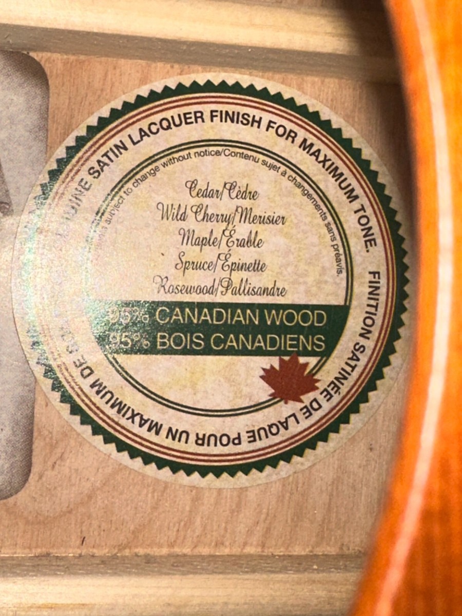Art and lutherie Cedar Made In Canada With Hard Case | eBay