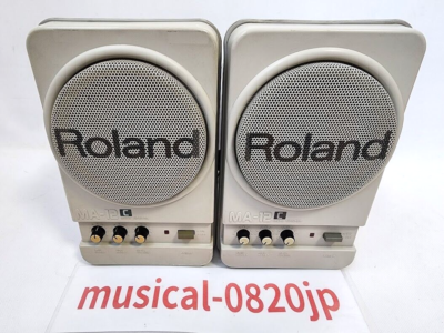 Roland MA-12C Stereo Monitor Speakers Desktop PC Micro Monitor