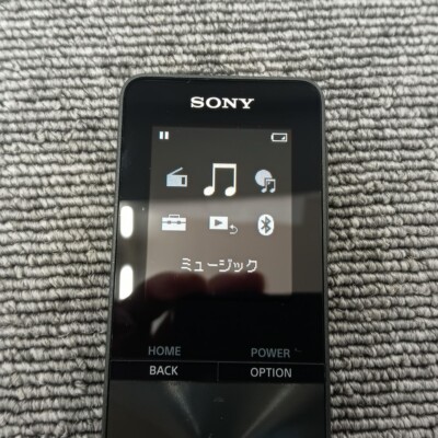 Sony Walkman NW-S315 16Gb Black Very Good | eBay