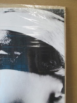 vintage Dita Madonna Boy toy 1992 singer poster music 22581 | eBay