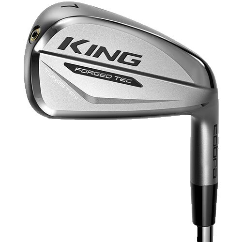 Golf Iron Set Akira Prototype KS-301 Dynamic Gold S200 6pcs 5-P