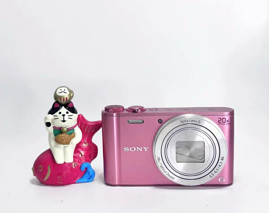 Sony Cyber-shot DSC-WX350 Pink 18.2MP 20x Compact Camera-90%new | eBay