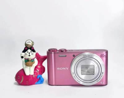 Sony Cyber-shot DSC-WX350 Pink 18.2MP 20x Compact Camera-90%new | eBay