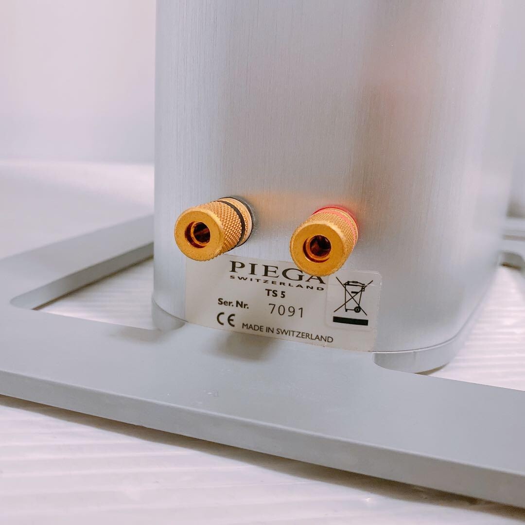 Piega Swiss Made Luxury Tallboy Speaker TS5 Pair set Operation