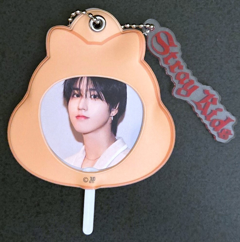 Stray Kids DominATE World Tour Japan Mini Picket Key Holder SKZ | eBay