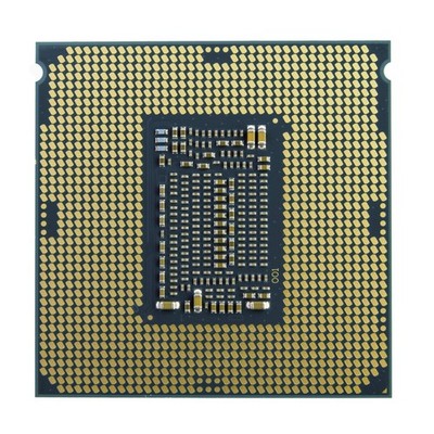 Intel Core i7-10700 Processor (4.8 GHz, 8 Cores, Socket LGA1200