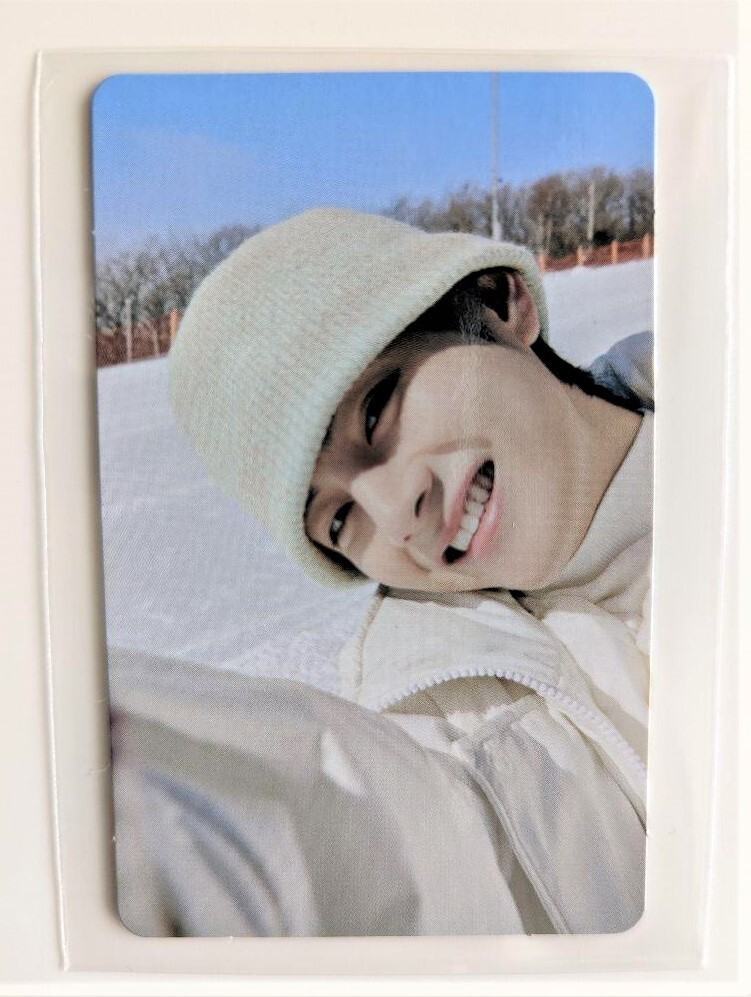 BTS winter package ウィンパケ【テテ】 DVD 日本語字幕つき BTS