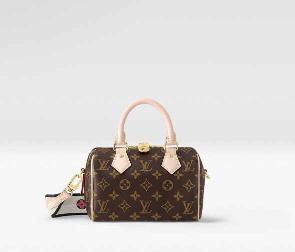 Authentic Louis Vuitton Speedy 20 | eBay