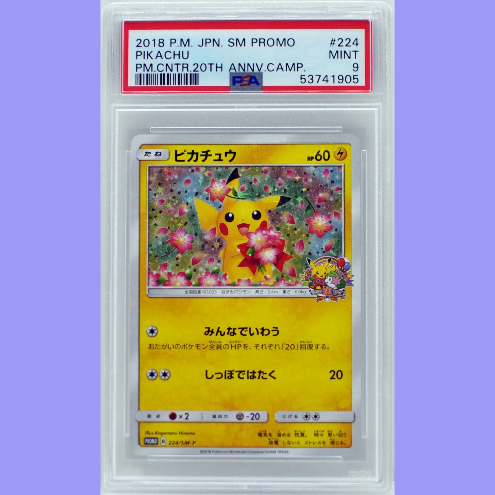 みんなでいわうピカチュウ224/SM-P ピカチュウみんなでいわう