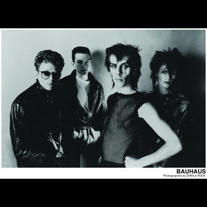 Bauhaus Top Hits - KKBOX