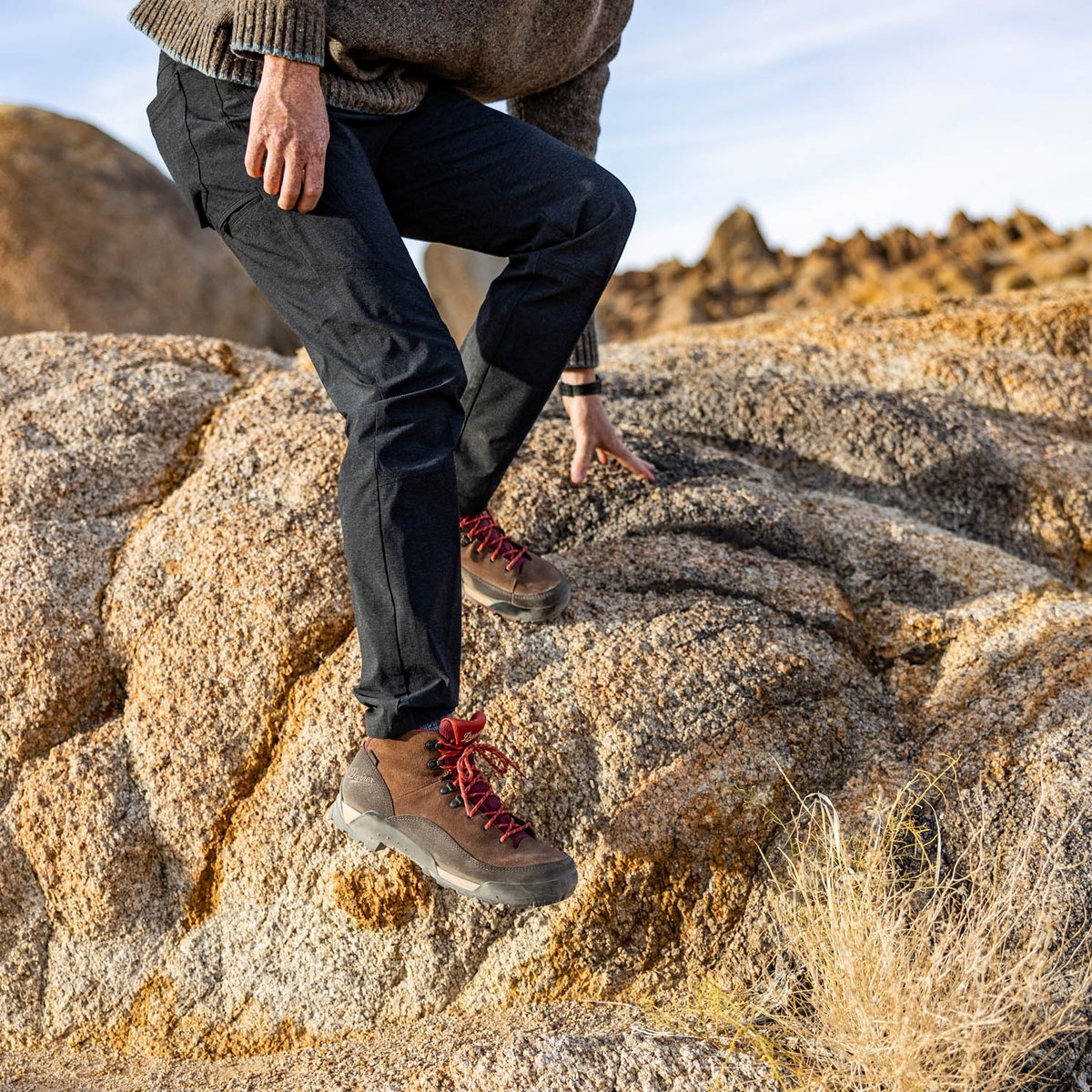Danner - Panorama Mid Pinecone Brown/Bossa Nova