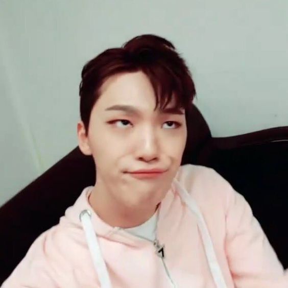 イチャン」のアイデア 11 件 | seventeen ディノ, チャニ, ホシ