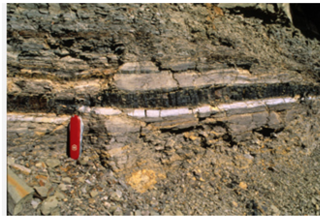 🔥 K-Pg境界線 -- 恐竜絶滅イベント。白い層は衝突による「イジェクタ