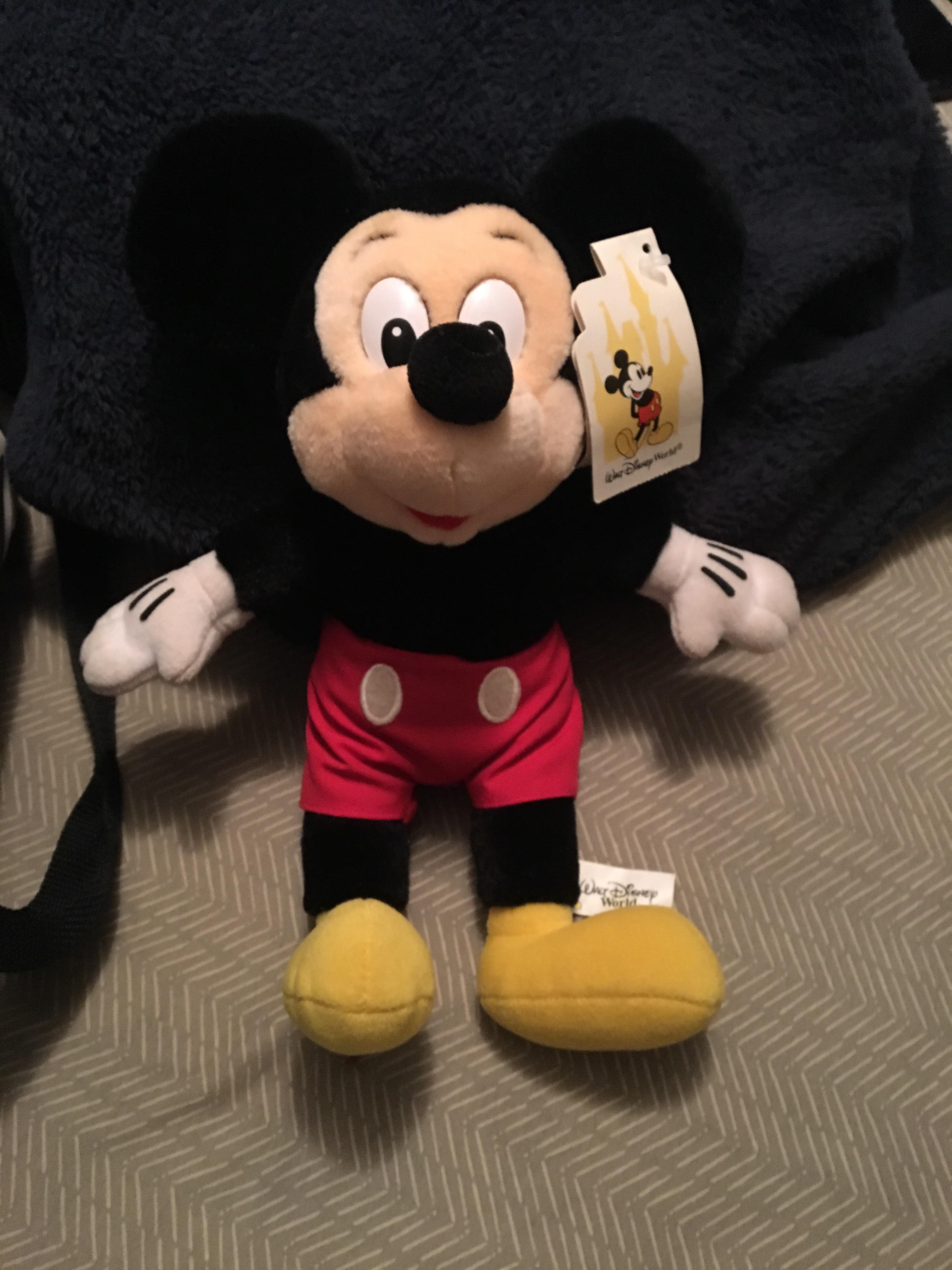 おばあちゃんがウォルト・ディズニー・ワールドで買ってくれた、タグ