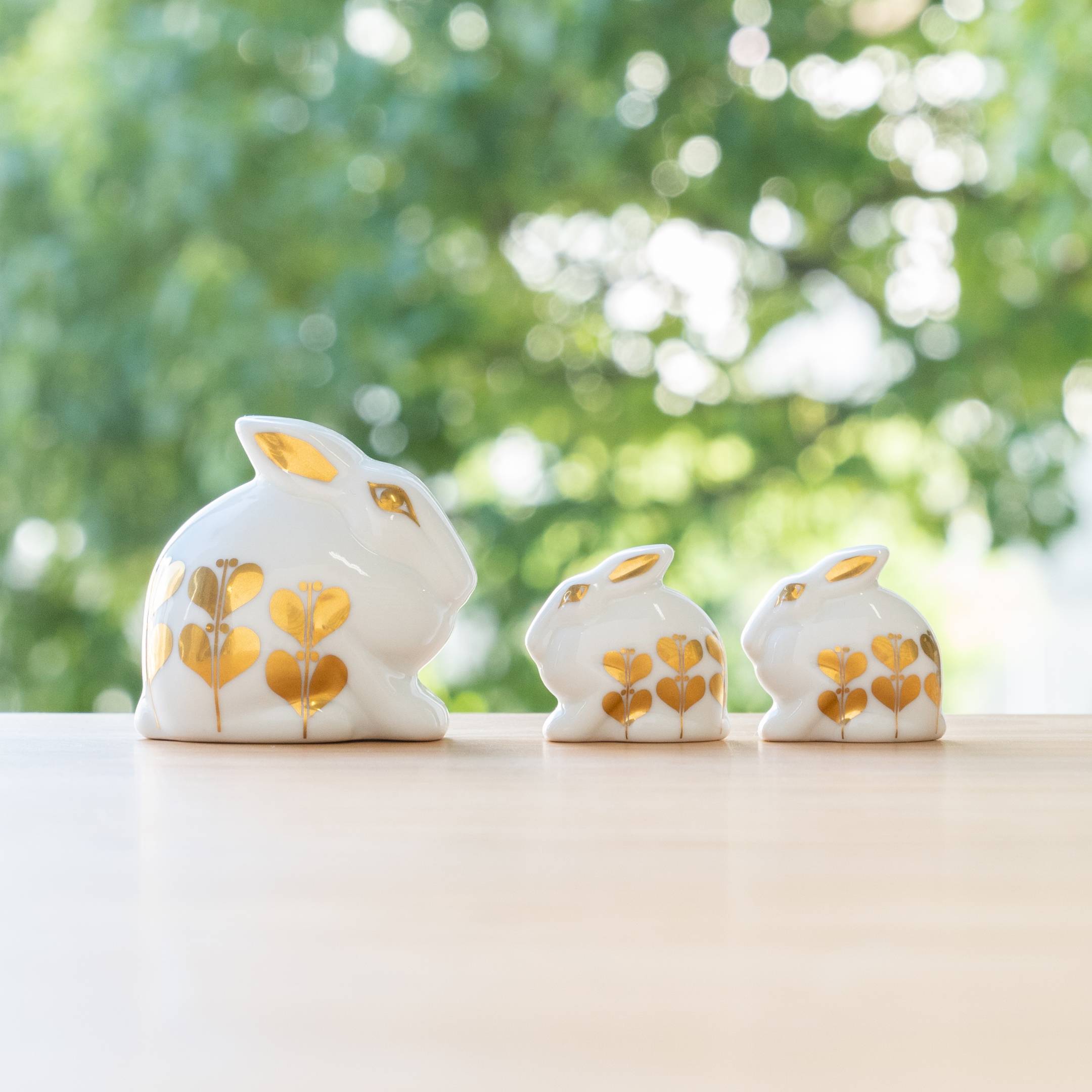 これから本番！ひかりのうさぎ！