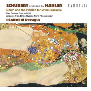 死と乙女（弦楽合奏版）: IV. Presto ［原曲：弦楽四重奏曲 第14番 ニ