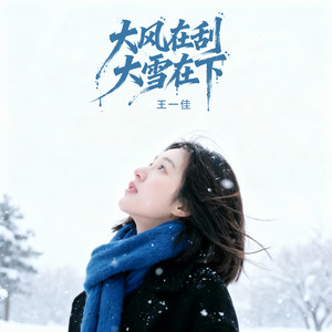 大风在刮大雪在下- Single by 王一佳| Spotify