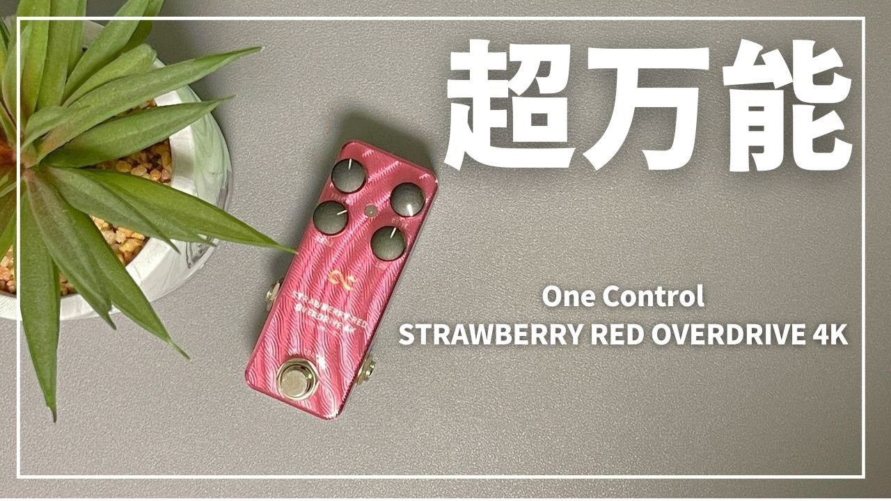 ゲイン幅が超広い歪みペダル 